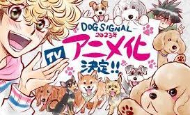 Dog Signal